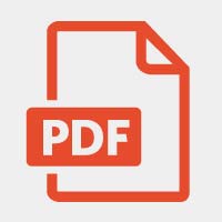 pdf icon2