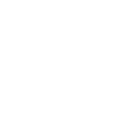 ffg menu icons get support